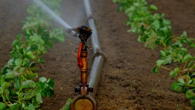 services-irrigation-01-400x226